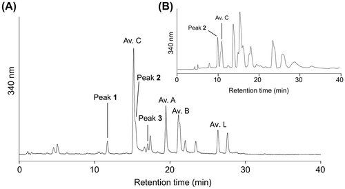 Fig. 2. HPLC analysis of avenanthramides in oat groats (A) and chromatogram for the isolation of 2 (B).Notes: MeOH extract of oat groats was subjected to analytical HPLC. HPLC conditions were described in the part of general experimental procedures in materials and methods section. Sixty percent MeOH fraction obtained by ODS column chromatography of oat groat extract was subjected to preparative HPLC. HPLC conditions were described in the part of isolation of avenanthramides in materials and methods section.