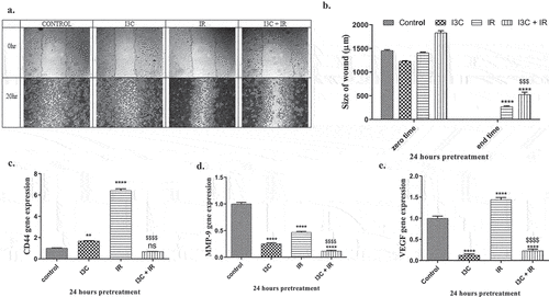 Figure 3. Anti metastatic effect of IR and/or I3C on MDA-MD-231 cell line. (a–b) Wound healing assay indicated the significant effect of IR and combined therapy in increasing the wound size compared to control group. (c–d) Molecular validation of antimetastatic effect of IR and/or I3C showed a significant upregulation at CD44 and Vegf and downregulation at MMP9 in IR group compared to control. The combined therapy significantly downregulated CD44, MMP9 and Vegf expressions in comparison with IR and control groups. Significance was denoted *as p < 0.05 as compared to control and significance was denoted $ as p < 0.05 as compared to IR.