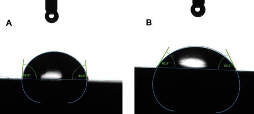 Figure 8 Example of contact angle analysis results (A) of the pure implant abutment surface and (B) of the implant abutment surface after modification with ZnO+0.1%Ag.