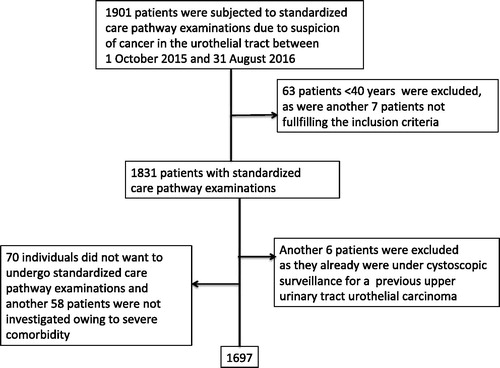 Figure 1. Patients included in the standardized care pathway for urothelial cancer between October 2015 and August 2016 captured in the standardized clinical care registration used by Region Skåne, and numbers and reasons for being excluded from the study cohort.