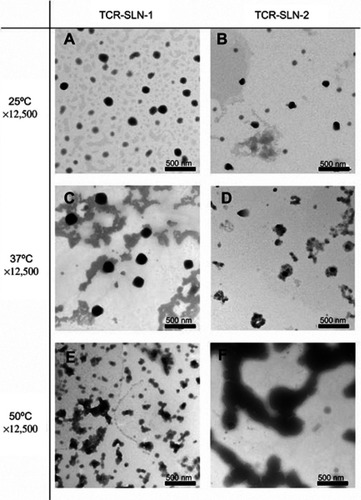 Figure 4 TEM images of TCR-SLNs dried at different temperatures (magnification: ×12,500, scale bar =500 nm).
