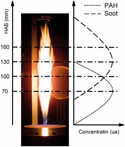Figure 2. Picture of the turbulent kerosene diffusion flame and sampling locations along the vertical flame axis. The right panel schematically represents the locations of soot precursors (PAHs) and soot volume fraction along the flame axis.