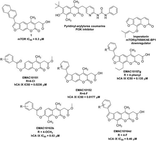 Figure 1. Examples of 2H-chromene and 7H-furo-chromene-based potential anticancer derivativesCitation51,Citation52,Citation54,Citation55 and newly synthesised chromene series.
