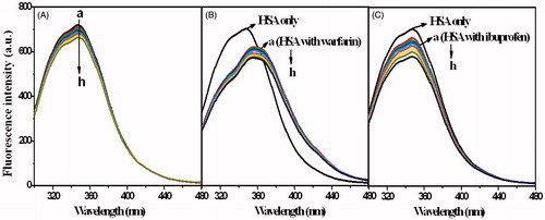 Figure 9. The fluorescence spectra of HSA in the presence of ECZ at different concentrations, and the influence of site-markers warfarin (B) and ibuprofen (C) to the spectra of HSA-ECZ system. CECZ (a–h) = 0, 0.5, 1, 1.5, 2, 2.5, 3, and 3.5 (×10−6 mol L−1).