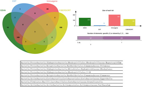 Figure 4. The Venn diagram and list of overlapping microbiota groups appeared in the four analyses. Microbiota groups that appeared simultaneously in the four analyses did not exist, and a total of 8 microbiota groups appeared in the three analyses.