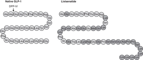 Figure 1. Structure of lixisenatide. The amino-acid sequence for lixisenatide and native human GLP-1. The amino acids highlighted in dark grey represent differences in the structure of lixisenatide compared with native GLP-1. Dipeptidyl peptidase-IV (DPP-IV) rapidly cleaves and inactivates native GLP-1 at the indicated site.