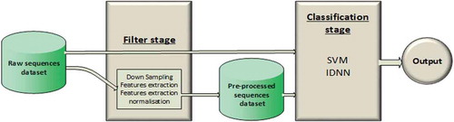 Figure 1. The automatic classifier consists of two stages: the filter stage and the classification stage. The raw dataset can be used as direct input to the classification stage, or can be input to the filter stage. The filter stage elaborates the raw dataset, thus generating a preprocessed dataset. The preprocessed dataset is then used as input to the classification stage. The output is the classification of the data, in this case as “prey handling” or “swimming”.
