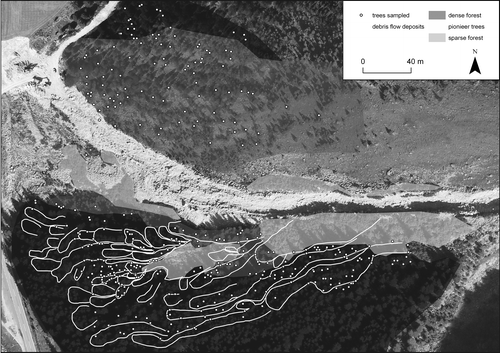 FIGURE 4 Detailed map (original scale 1∶1000) of all debris flow forms and deposits (paleochannels, levees, and lobes) and of the vegetation covering (parts of) the cone (i.e. dense forest, sparse forest, and pioneer trees and shrubs).