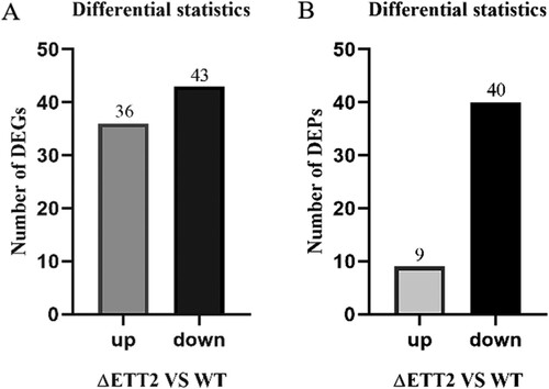 Figure 2. Differentially expressed genes (A) and differentially expressed proteins (B).