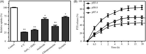 Figure 3. (A) Effect of temperature and endocytosis inhibitors on the internalization of HA-Se@PTX in A549 cells. *p < .05, **p < .01 vs. control group. (B) In vitro release of PTX from HA-Se@PTX nanoparticles. **p < .01 vs. pH5.4 group.
