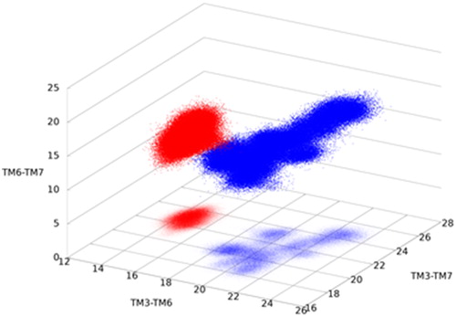 Figure 4. Interhelix separations distinguish active (blue) from inactive (red) structure. TM3, TM6 and TM7 are in direct contact with the G-protein and their increased separation and surface, characteristic to the active structure, facilitates G-protein binding.