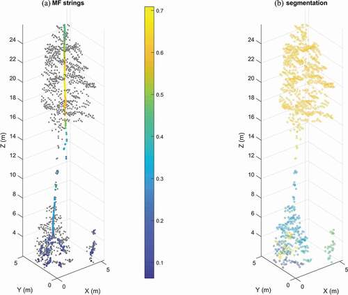 Figure 3. (a) Model fit (MF) strings with colors set by the model fit coefficient (B value) and gray points showing the original point cloud, (b) the original point cloud with colors set by the identification numbers of 3D segments. the original point cloud was selected using a polygon obtained from 2D segmentation using high-altitude ALS data.