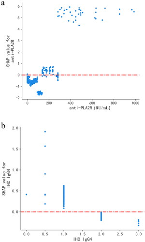 Figure 6. SHAP dependence plot of the LightGBM model, depicting how a single variable affects the prediction. SHAP value for specific features that exceed zero indicates an increased risk of patients experiencing adverse events. (a) SHAP dependence plot of anti-PLA2R. (b) SHAP dependence plot of IHC IgG4. The value 0 of IHC IgG4 represents (–), 0.5 represents (±), 1 represents (+), 2 represents (++), and 3 represents (+++). anti-PLA2R: anti-phospholipase A2 receptor; IHC IgG4: immunohistochemical immunoglobulin G4.