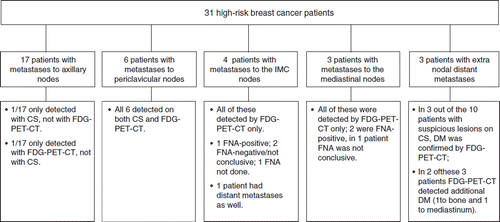 Figure 1. Overview of the most important lesions found on staging. CS stands for conventional staging; IMC for internal mammary chain; FNA for fine needle aspiration; DM for distant metastases.