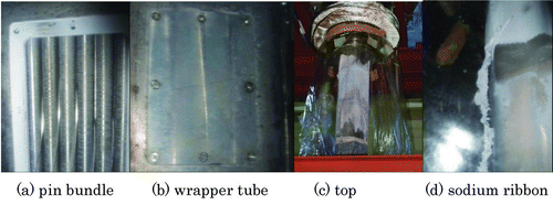 Figure 11 Surface views of pin bundle model after cleaning test (case 1–1)