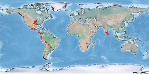 Figure 1. Geographic distribution of reported cases of associations between tarantulas and anurans. Red dots: literature records; yellow dots: new records.