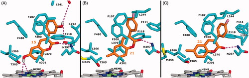 Figure 6. Molecular docking of 3-phenyl containing coumarin derivatives to CYP2A13. A) Predicted binding mode of 15. B) Predicted active binding mode of 21. C) Predicted alternative binding mode of 21. Ligand, protein and haem C atoms are coloured orange, cyan and grey, respectively. Other elements are coloured as follows: O red, N blue, Fe lime, S yellow, F pink and polar H of 15 white. Dashed lines display electrostatic interactions between ligand and protein/haem. In A, two hydrogen bonds between 3-phenyl-3-OH and L241 or L296 are shown that could be formed either directly or through a water molecule.