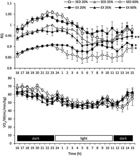 Figure 4. The 24-h RQ and VO2/W in the long-term study; * indicates a significant difference (P < 0.05) compared with mice fed the other protein diets, and ** indicates a significant difference (P < 0.05) compared with SED and EX mice fed the 20% protein diet. EX, exercise group; RQ, respiratory quotient; SED, sedentary group; VO2/W, oxygen uptake per body weight.