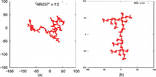 FIG. 1. Examples of d = 2 aggregates simulated with: (a) DLCA model, N = 1148; (b) RHM, N = 1024.