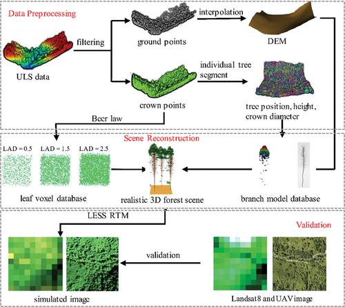 Figure 2. Workflow of the study. In this figure, LAD represents leaf area density, and UAV stands for unmanned aerial vehicle.