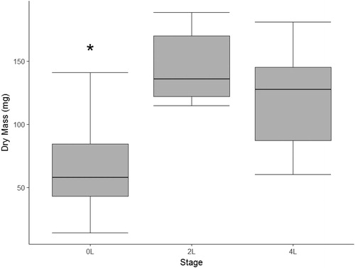 Figure 1. Dry mass of three developmental stage categories of free-ranging larval southern leopard frogs (Lithobates sphenocephalus) from geographically isolated wetlands in southwestern, Georgia, USA, from February to July 2016. The asterisk indicates a significant difference.