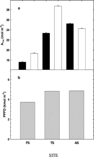 FIGURE 6.  (A) Total carbon gain (A tot) and (B) integrated photosynthetically active radiation (PPFD) for the 2002 growing season in A. lasiocarpa (black bars) and P. engelmannii (gray bars) at the three sites, FS (subalpine forest, 2965 m), TS (treeline ecotone, 3198 m), and AS (alpine treeline, 3256 m)