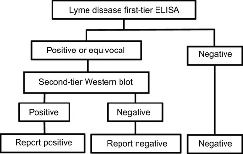 Figure 1 Flow diagram of logical AND two-tier test methodology for Lyme disease.