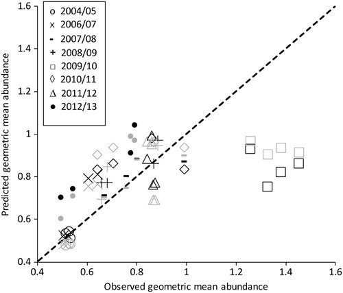 Figure 5. Predicted geometric mean number of beetles plotted against the observed geometric mean where the explanatory variable is either the number of adult H. thoracica (black symbols) or number of ‘other wētā’ (grey symbols) caught per transect. Symbols are used to denote data from different summers.