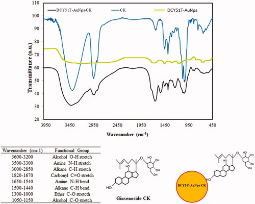 Figure 6. FTIR spectra of DCY51T-AuCKNps and proposed ginsenoside CK complexation onto the surface of DCY51T-AuNps. FT-IR spectra of DCY51T-AuCKNps revealed the presence of C–H bends (alkane groups) and C–O stretch (ethers) of ginsenoside CK.