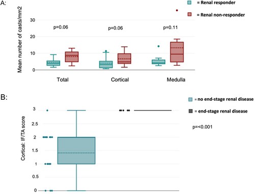 Figure 4. A: Mean number of casts/mm2 (total, cortical, medulla) compared between renal responders (green) and renal non-responders (red); B: Cortical IF/TA score compared between patients with end-stage renal disease(grey) and no end stage renal disease (blue).