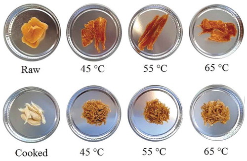 Figure 6. Samples of raw and cooked chicken breast at different dehydration temperatures in electric oven.Figura 6. Muestras de pechuga de pollo cruda y cocida a diferentes temperaturas de deshidratación en horno eléctrico.