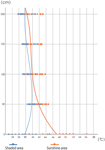 Figure 9. Schematic diagram of broken line of vertical spatial temperature change trend under different modes of the research road section.