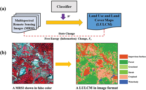 Figure 7. The schematic representation of transforming MRSI into LULCM as a thermodynamic process. (a). MRSI classification where W means the work acting upon MRSI by a classifier. (b) Raster data type is changed from numerical to nominal. The same land cover and land use distributed in different image parts is grouped into one class in the raster map.