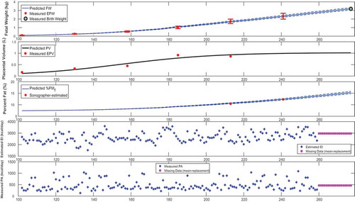 Figure 4. Time-domain response (foetal weight, placental volume, and foetal % body fat) with energy intake and physical activity for a representative HMZ control participant (participant B) (simulation starts at the day of first ultrasound measurement and ends at birth).