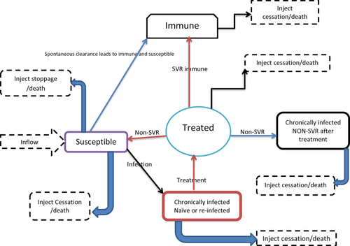 Figure 1 Schematic description of HCV infection transmission model.