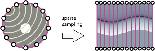 Figure 3. Sparse sampling problem in PAT in circular geometry. The induced acoustic pressure is measured at M detector locations on the boundary of the disc BR indicated by white dots in the left image. Every detector at location zm measures a time dependent pressure signal p[m,⋅], corresponding to a column in the right image.