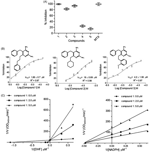 Figure 5. Kinetic inhibition assays results for LcDHFR-TS. (A) Inhibition profile against in 50 μM inhibitor single concentration assay. (B) Dose-response curves for compounds 1–3 against LcDHFR-TS. IC50 values calculated by non-linear regression in GraphPad Prism® 5.0 software. (C) Effect of compound 1 over NADPH and DHF kinetic constants (Kmapp and Vmaxapp). *Statistical difference of results were considered when p < .05 (Kruskal–Wallis ANOVA).