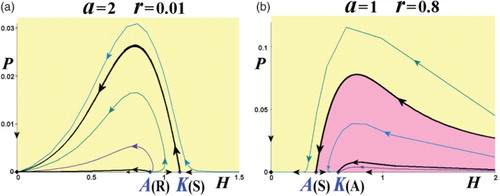Figure 8. Phase-space portraits with no interior equilibria. (a) Type (v) for Href<(A,0)(R)<(K,0)(S), and (b) type (vi) for (A,0)(S)<(K,0)(A)<Href. (Yellow: extinction region; red: exclusion region.)