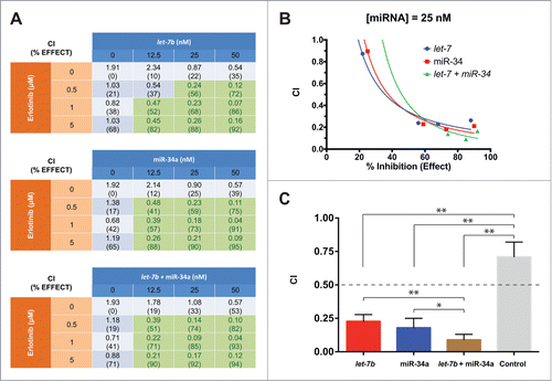 Figure 4. let-7b and miR-34a synergize with erlotinib in H358 cells. (A) Tables showing combination index (CI) values and % inhibition of cell proliferation (relative to untransfected cells) for H358 cells transfected with let-7b, miR-34a, or half dose of each let-7b and miR-34a, and treated in combination with erlotinib at various concentrations. Reported CI values represent the average of 3 replicate experiments. Cells highlighted in green have CI values smaller than 0.5, indicating strong synergy. (B) Combination index plots of for H358 cells treated with miRNA mimics at 25 nM in combination with erlotinib at concentrations from 0 μM to 5 μM. (C) Bar graph indicating the CI values for H358 cells treated with a control miRNA mimic, or mimics of let-7b, miR-34a, or a half dose of each let-7b and miR-34a at 25 nM, and erlotinib at 1 μM. The dashed line indicates CI = 0.5 as a threshold indicating strong synergy. Plotted: mean ± s.d.; n = 3 ; *P < 0.05, **P < 0.01, Student's t-test.