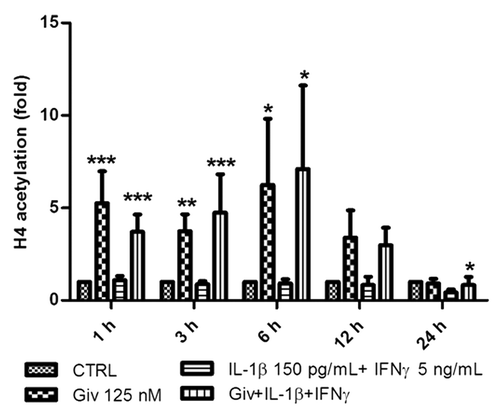 Figure 1. Givinostat induces hyperacetylation of histone 4. 5 × 105 INS-1 cells were cultured for 1, 3, 6, 12 and 24 h in the presence or absence of IL-1β (150 pg/ml) + IFNγ (5 ng/ml). Givinostat (Giv) was added (125 nM) 1 h prior to cytokine exposure or as a control without cytokine exposure. Cells were lysed and total protein was isolated and subjected to SDS-PAGE and western blot analysis with anti-H4 specific antibody and normalized to β-actin. Data from four independent experiments are presented as fold change compared with controls. Results are shown as means +SEM *p < 0.05, **p < 0.01 and ***p < 0.001 vs. Control (ANOVA with Tukey’s correction for multiple comparisons).
