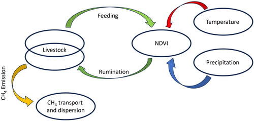 Figure 6. Simplified flow diagram illustrating the role of climatic parameters and CH4 atmospheric emission in livestock.