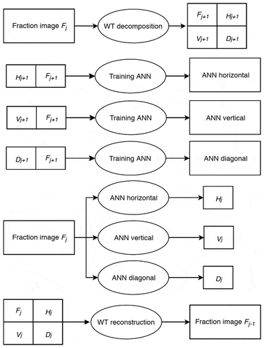 Figure 3. Framework of ANN WT (adapted from Mertens et al. (Citation2004)).