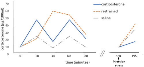 Figure 1. Feedback paradox I: glucocorticoid feedback resistance evoked by a stressor but not by prior corticosterone. Left: Plasma corticosterone levels resulting from 60 min restraint, sc injections of corticosterone (60 μg) or, sc injection of saline at 0 and 40 min. Right: the responses to injection stress in the three groups are shown. After corticosterone treatment, the response to injection was significantly (p < .01) inhibited compared to either of the other groups. Figure adapted from (Dallman & Jones, Citation1973).