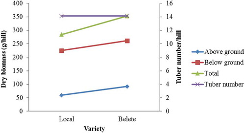 Figure 1. Effect of variety on aboveground, belowground, total dry biomass (g hill−1) and tuber number per hill of potato at Abaso Kotu, Dessie Zuria district, northeast Ethiopia.