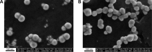 Figure 1 Images of nanoparticles in suspension obtained by scanning electron microscopy at ×150,000.Notes: (A) Nanogold; (B) nanosilver.