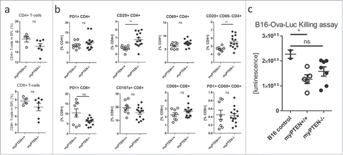 Figure 6. Myeloid PTEN deficiency induces regulatory T-cells. (A) Quantification of flow cytometry analysis of (live, CD45+ CD3+) CD4+ T-helper and CD8+ CTLs in the spleens of myPTEN+/+ and myPTEN−/− mice 10 d after s.c. B16 melanoma injection, values are expressed as % of live cells, n = 4–7; (B) Quantification of flow cytometry analysis of activation markers PD-1, CD25, CD69 and CD107a in CD4+ T-helper and CD8+ CTLs in the spleens of myPTEN+/+ and myPTEN−/− mice 10 d after s.c. B16 melanoma injection, values are expressed as % of CD4+ or CD8+, respectively, n = 8–14, *p < 0.05, **p < 0.01; (C) in vitro killing of B16-Ova-Luc cells was assayed by measurement of remaining luciferase activity specific for transduced melanoma cells after co-culture for 1 h with LPS/SIINFEKL-primed splenocytes from B16-injected myPTEN+/+ or myPTEN−/− mice as in (A) and (B), respectively, values represent arbitrary luminescence values; n = 2–7, *p < 0.05, **p < 0.01.