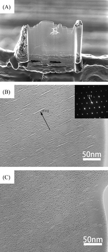 Figure 1. (A) SIM micrograph of the K711b41 specimen after thin foil preparation using FIB. (B) TEM micrograph of the as-received K711b41 specimen. (C) The same area with (B) but tilted 25°. The crowded dark spots were considered as the damages of FIB process.