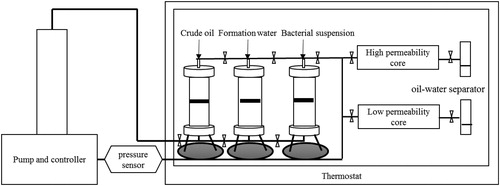 Figure 1. Schematic diagram of the experimental setup for core flooding experiments.