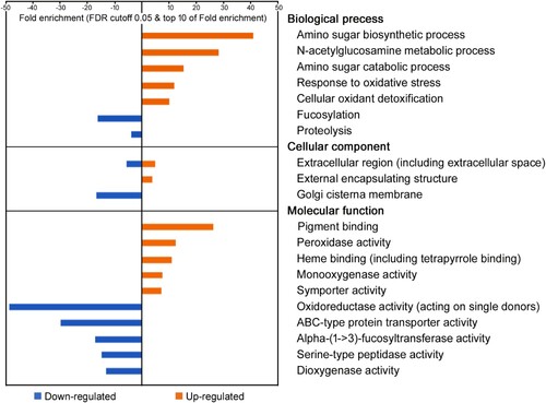 Figure 6. Gene ontology enrichment analysis with 336 differentially expressed genes specific to MC-LR-treated Daphnia galeata HK daphnids. Over- and under-represented genes in each GO-term are shown as orange and blue bars, respectively. The individual GO terms are categorized as belonging to cellular components, biological processes, and molecular functions.