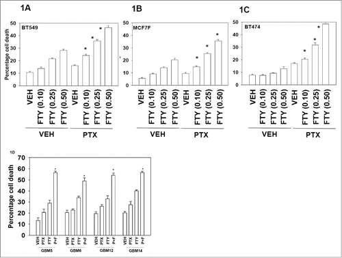 Figure 1. Pemetrexed and FTY720 interact to kill tumor cells. (A–C) BT474, BT549 and MCF7F breast cancer cells were treated with Vehicle (VEH) or pemetrexed (PTX, 0.5 μM) and increasing concentrations of FTY720 (FTY, 0.10−0.5 μM). Twenty four h after drug treatment cells were isolated and viability determined by trypan blue exclusion assay (n = 3, +/− SEM) *P < 0.05 greater than corresponding value in VEH treated cells. (D) Glioblastoma cells (GBM5/6/12/14) were treated with Vehicle (VEH), pemetrexed (PTX, 0.5 μM) FTY720 (FTY, 0.25 μM) or the drugs in combination. Twenty four h after drug treatment cells were isolated and viability determined by trypan blue exclusion assay (n = 3, +/− SEM) *P < 0.05 greater than corresponding value in VEH treated cells.